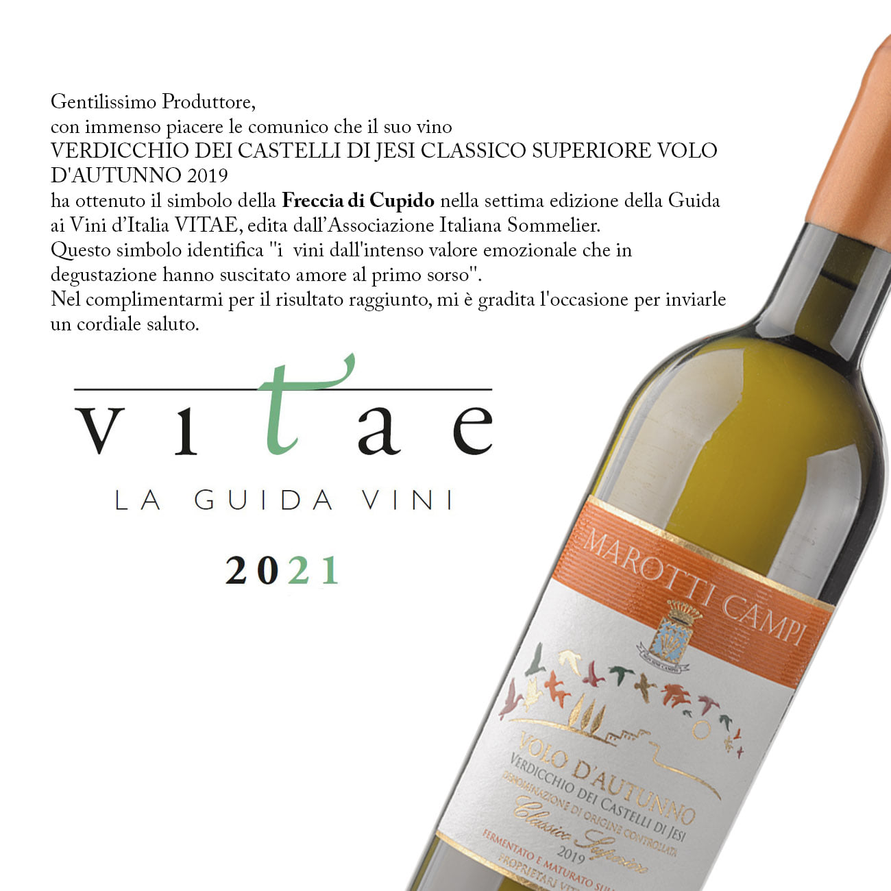 Vitae 2021 Freccia di Cupido Verdicchio Marotti Campi Volo d'Autunno 2019